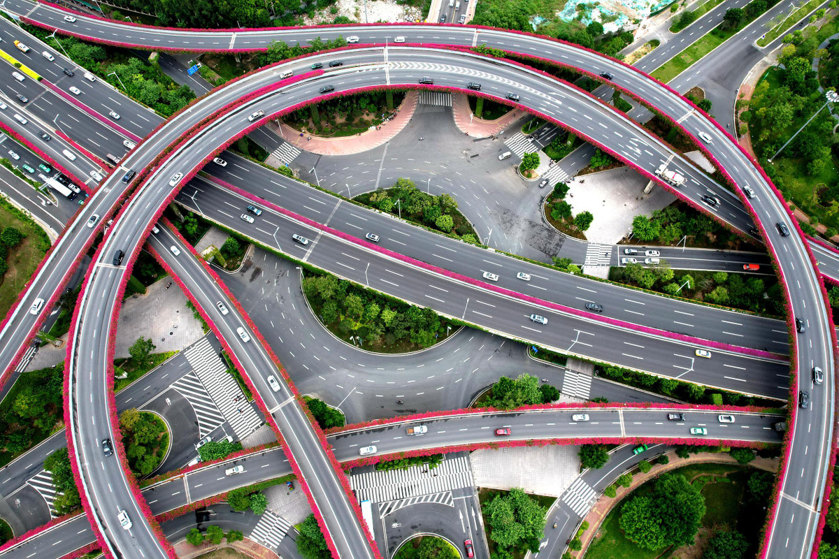 Khi nhìn từ trên cao, những cây cầu trông như thể được trang trí bằng những dải ruy băng màu hồng tím.