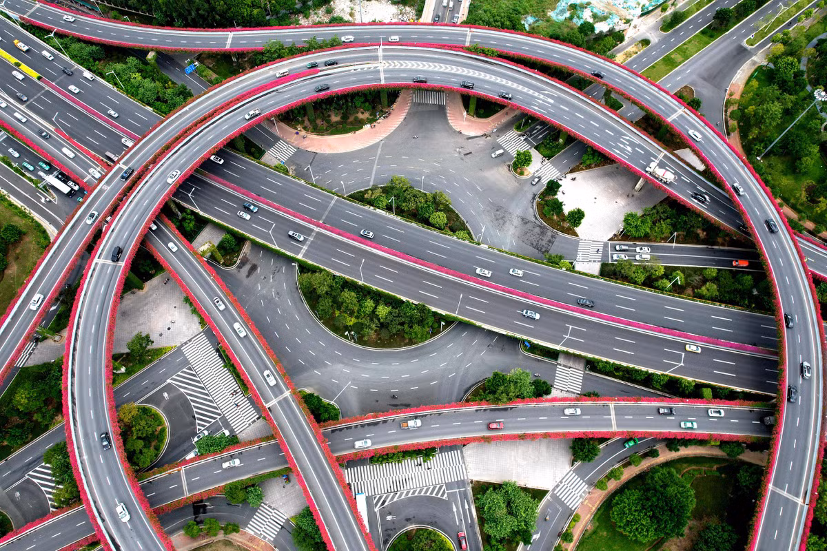 Khi nhìn từ trên cao, những cây cầu trông như thể được trang trí bằng những dải ruy băng màu hồng tím.