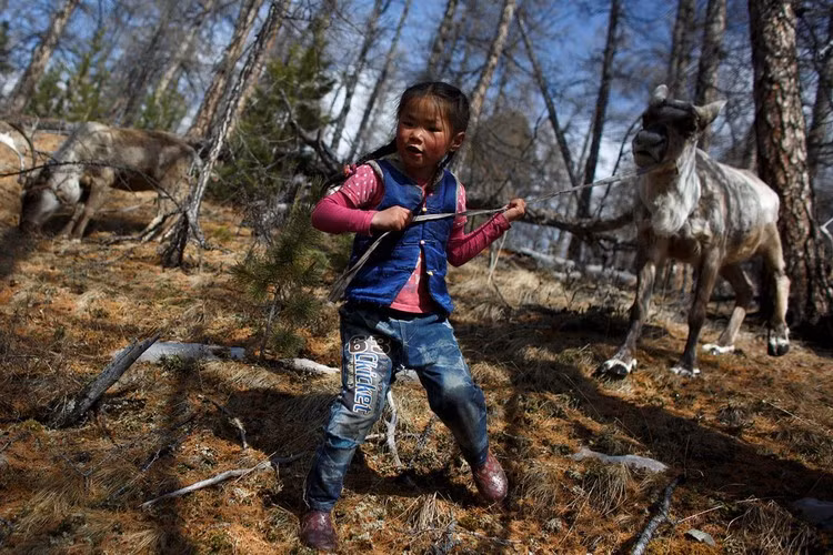Kham pha cuoc song bo lac du muc Dukha o Mong Co-Hinh-5