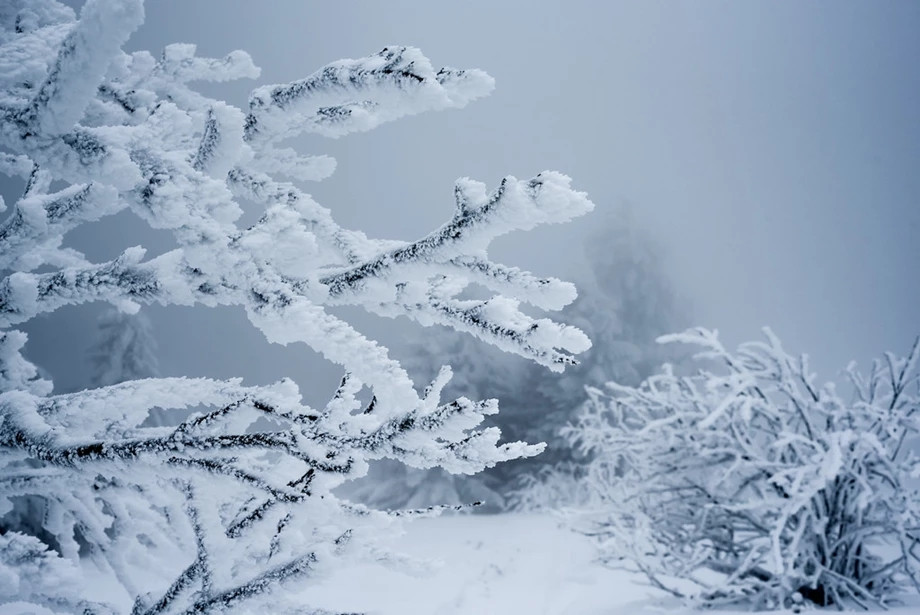 Gần như toàn bộ Sakha nằm trên lớp băng vĩnh cửu. Ở thủ phủ Yakutsk của vùng này, nơi cách Moscow khoảng 5.000km về phía đông, nhiệt độ đang ở mức -44 độ C đến -47 độ C.