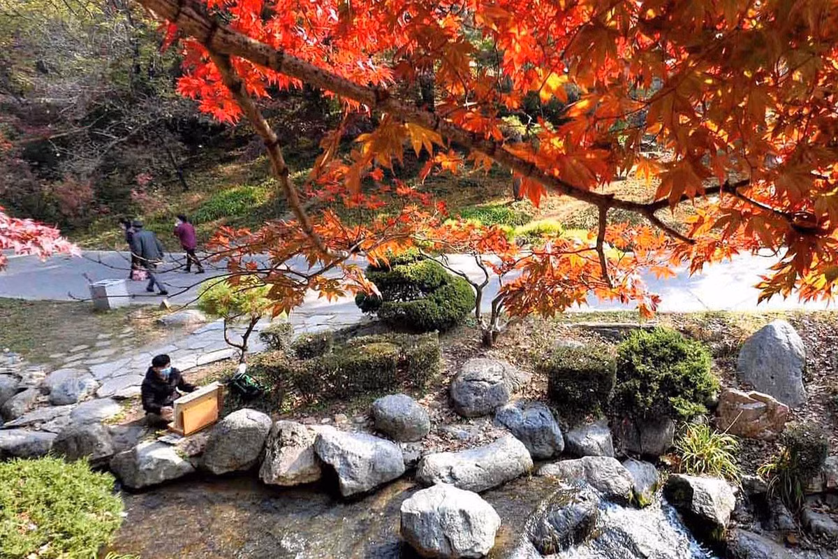 Ngam mua thu Trieu Tien dep me hon-Hinh-7