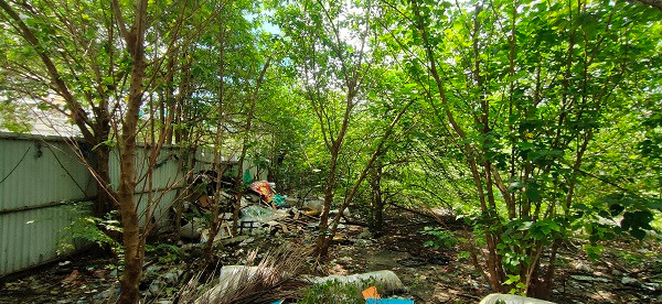 Hà Nội: Dự án 220 Trần Duy Hưng Bảo Việt “treo” cả thập kỷ, sao chưa thu hồi? - Hình 10 Ha Noi: Du an 220 Tran Duy Hung Bao Viet “treo” ca thap ky, sao chua thu hoi?-Hinh-10