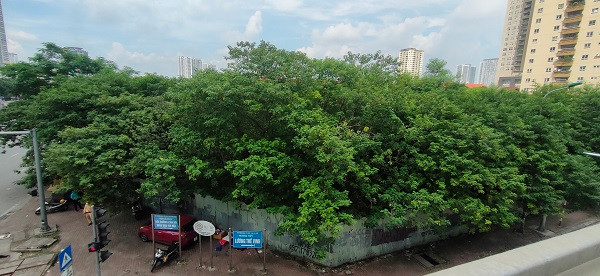 Hà Nội: Dự án 220 Trần Duy Hưng Bảo Việt “treo” cả thập kỷ, sao chưa thu hồi? - Hình 5 Ha Noi: Du an 220 Tran Duy Hung Bao Viet “treo” ca thap ky, sao chua thu hoi?-Hinh-5