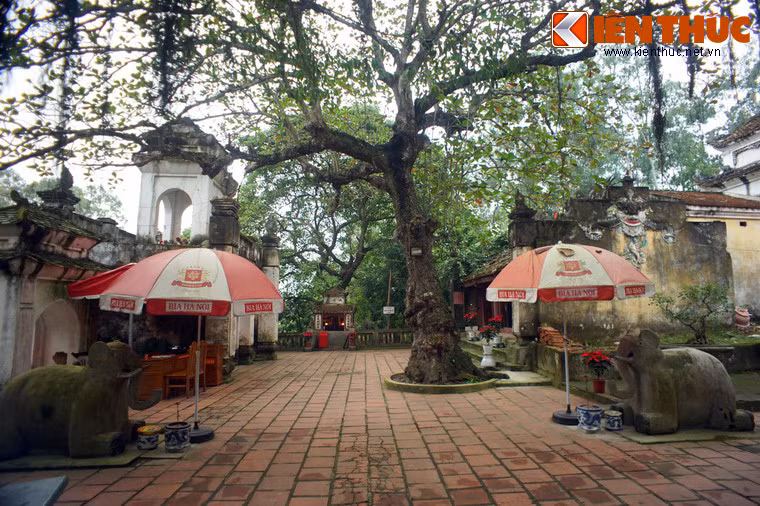 Khuôn viên đền rộng rãi, có nhiều cây xanh che bóng.