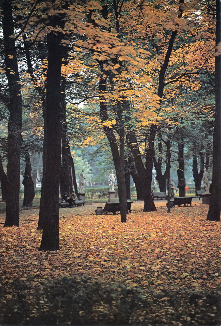 Khung cảnh mùa thu trong Công viên Mùa Hè nổi tiếng của Leningrad.