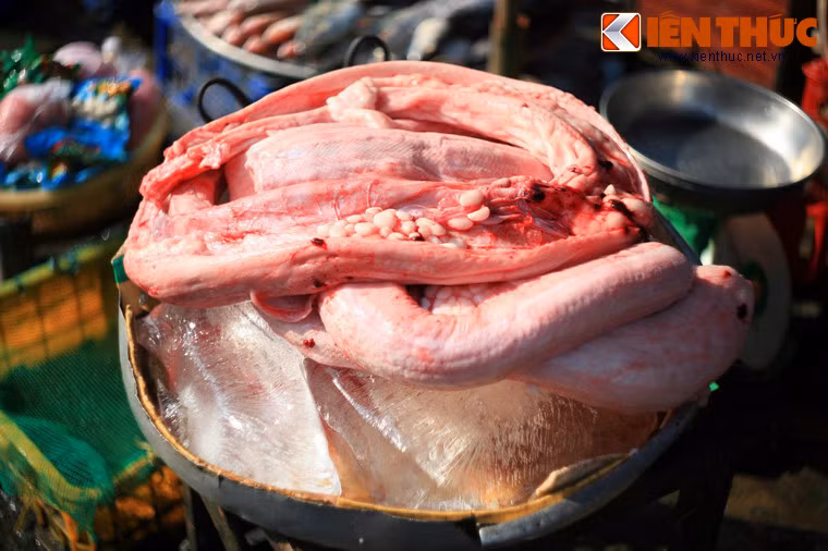 Một khúc thịt trăn với ổ trứng non lổn nhổn trong khoang bụng.