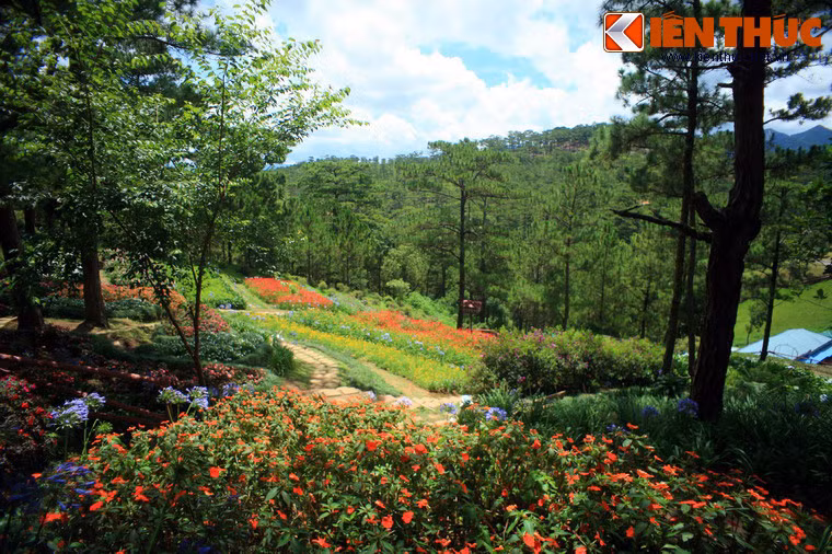 Một số hình ảnh khác về Thung lũng Tình Yêu.