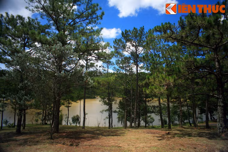 Ban đầu, hồ Đa Thiện chưa hình thành, vẻ đẹp cuốn hút của nơi đây được tạo nên bởi thung lũng sâu và đồi thông quanh năm xanh biếc.