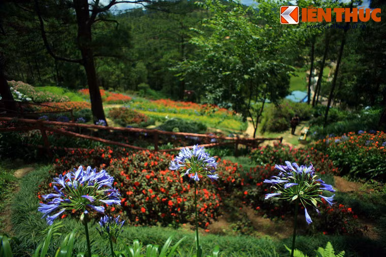 Từ thời thuộc địa, đây đã là một địa điểm nổi tiếng, thường được các cặp tình nhân người Pháp chọn làm nơi hẹn hò. Đến thập niên 1930, thung lũng chính thức đặt tên là Vallée d'Amour, nghĩa là Thung lũng Tình Yêu).