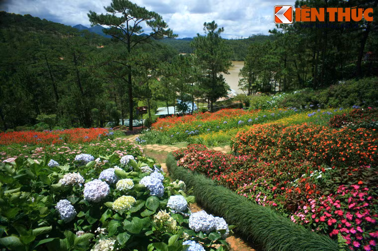 Một trong những nơi hấp dẫn nhất của Thung lũng Tình Yêu là đồi Vọng Cảnh, nơi có những vườn khoe sắc bốn mùa trên sườn đồi thoai thoải.