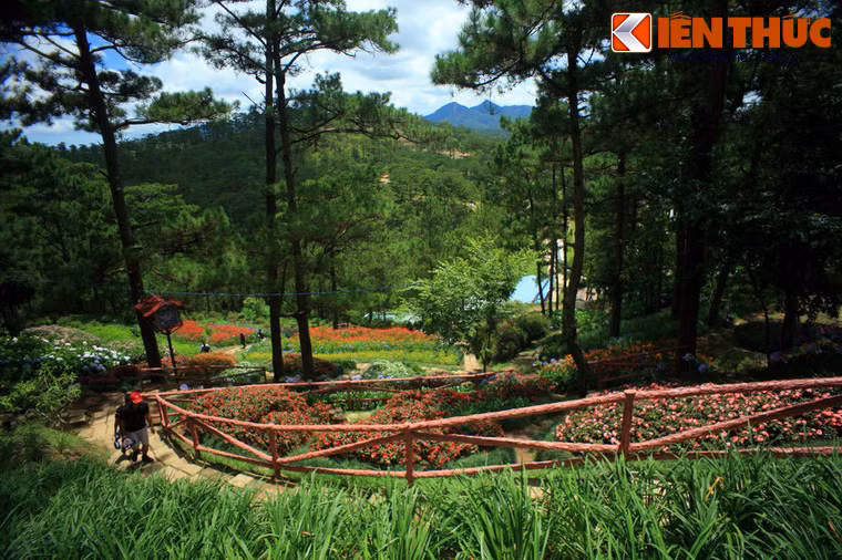 Có hai con đường để đi lên đồi này là đi bộ theo đường mòn hoặc đi theo các bậc tam cấp đã được xây dựng sẵn.