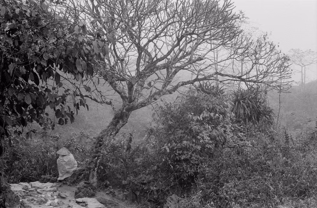 Khung cảnh thiên nhiên hoang sơ ở Hương Sơn. Ảnh: Magnumphotos.com