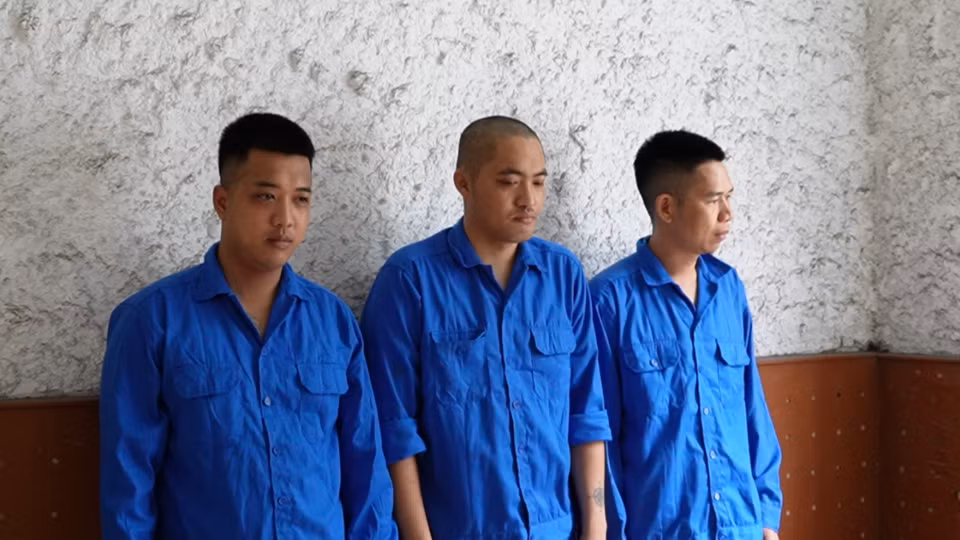 Lam ro thong tin bao ke viec buon lau oc dieu o Quang Ninh-Hinh-2