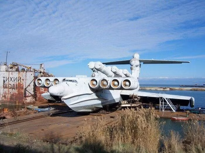 Tuy vậy những rào cản kỹ thuật lớn, đặc biệt là thiếu ổn định khí động học khi bay ở độ cao gần mặt biển và khó khăn khi hạ cánh trong điều kiện biển động khiến chiếc Ekranoplan này sớm bị loại biên cho dù là một kỳ quan kỹ thuật.