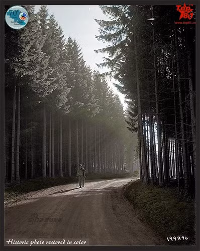 Người lính Mỹ đang tản bộ trên con đường rừng thơ mộng.