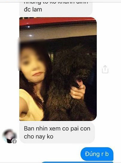 Truy tim gai xinh Ha Noi trom cho, doi tien chuoc-Hinh-2