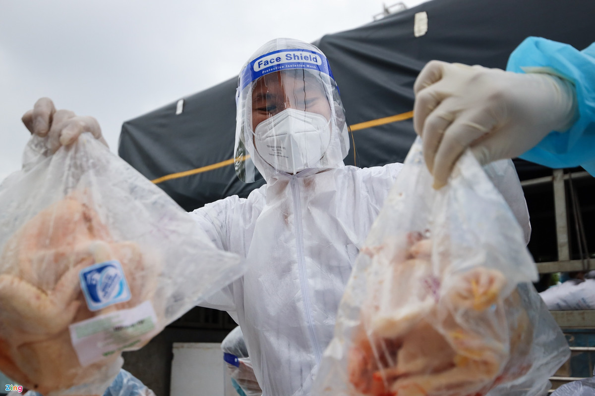 Nhận được thông tin phản ánh thiếu thực phẩm thiết yếu, Tiểu Vy, Thùy Tiên đã chuẩn bị 200 con gà cùng nhiều đồ ăn tươi khác để gửi tặng bà con tại quận 7.