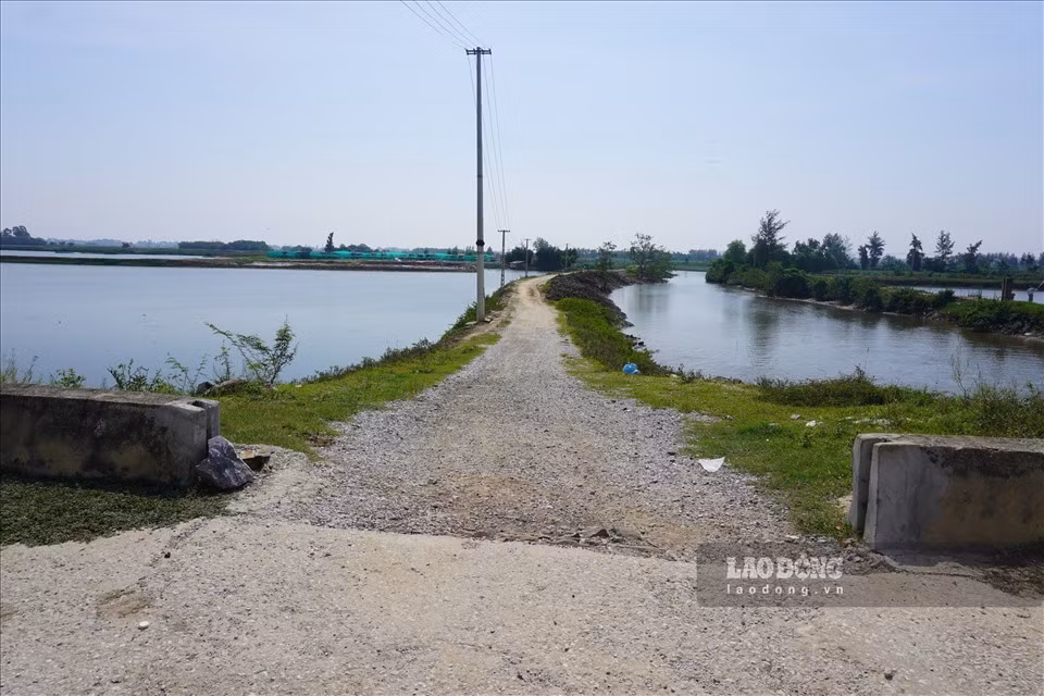 Nhiều người dân tại xã Hoằng Châu, Hoằng Phong (huyện Hoằng Hóa) cũng cho hay, do tuyến đê bị lún, nứt nhiều đoạn khiến các phương tiện lưu thông trên đê gặp không ít những khó khăn. Đặc biệt hơn, vào mùa mưa bão người dân lại nơm nớp lo âu mỗi khi xảy ra mưa lớn, lũ về.