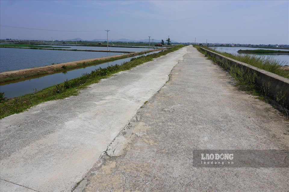 Trao đổi về sự việc, ông Nguyễn Xuân Huyên - Phó hạt trưởng Hạt quản lý đê Hoằng Hóa cho biết, qua rà soát trước mùa mưa bão, đơn vị cũng có ghi nhận mặt đê ở xã Hoằng Phong và Hoằng Châu có một số điểm nứt và đã báo cáo đến Chi cục Thủy lợi Thanh Hóa, UBND huyện Hoằng Hóa để đưa vào kế hoạch duy tu bảo dưỡng hàng năm.