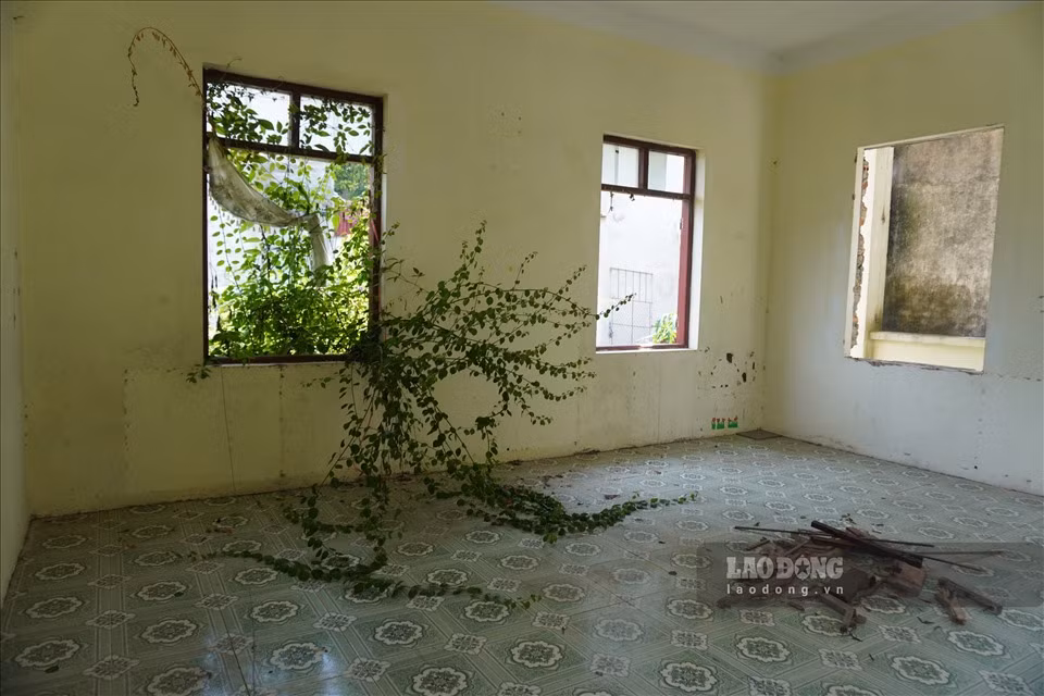 Nhieu truong hoc tai Thanh Hoa bi bo hoang, co moc um tum-Hinh-11