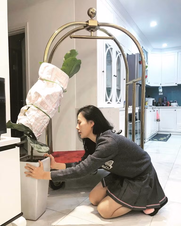 Trước tết khá lâu, Phương Oanh đã mua cây xanh để trang hoàng cho ngôi nhà.