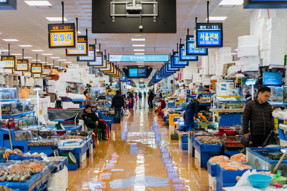 Nơi đây được ví là một mê cung thủy sản với vô vàn các loại hải sản tươi sống được đánh bắt tại các cảng gần đó. Chợ Noryangjin chiếm 66.000 m2 đất và cao 8 tầng lầu. Trong đó, hàng trăm cửa hàng nhỏ bận bịu buôn bán cho hơn 30.000 lượt khách mỗi ngày.