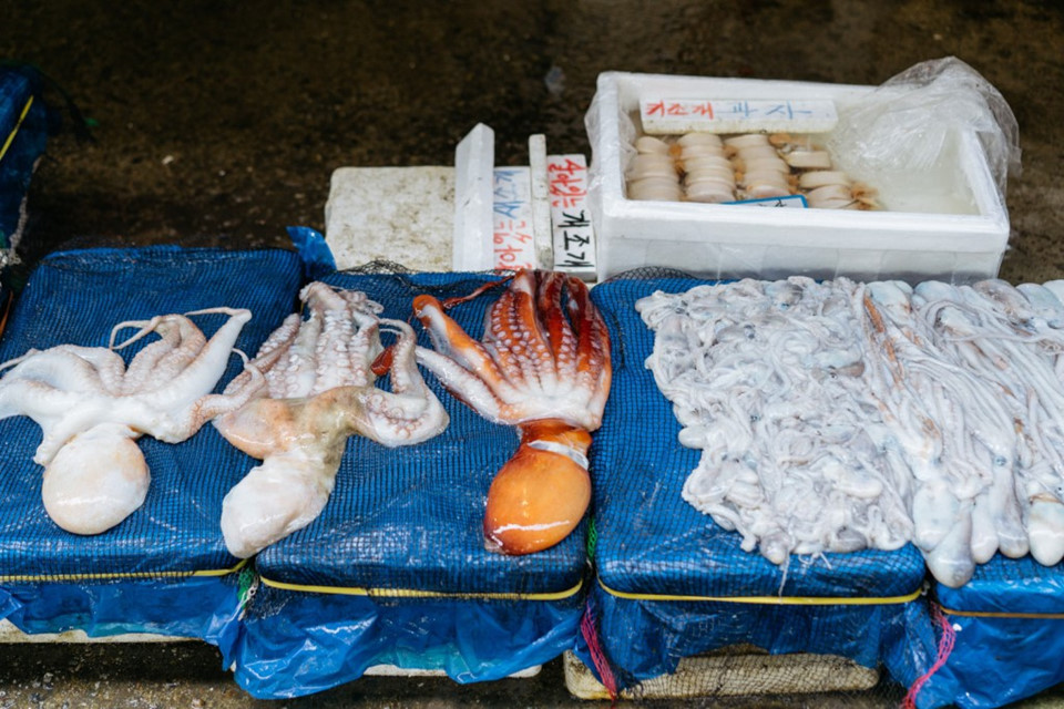 Các mặt hàng được bày bán giản dị, nhưng từng món đều được đảm bảo độ tươi ngon nhất để giữ uy tín cho người bán giữa hàng trăm các cửa hàng khác trong chợ. Dù hải sản ở chợ Noryangjin có giá thấp hơn so với trong siêu thị và các cửa hàng hải sản ở Seoul, bạn vẫn có thể mặc cả với người bán. Tiếng trả giá, mặc cả là một trong những âm thanh nhộn nhịp nhất ở khu chợ này.