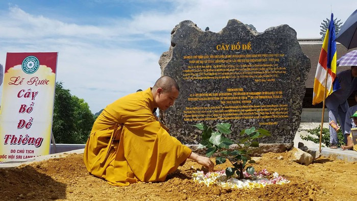 Nhung bau vat it nguoi biet ve ngoi chua lon nhat the gioi o Ha Nam-Hinh-3