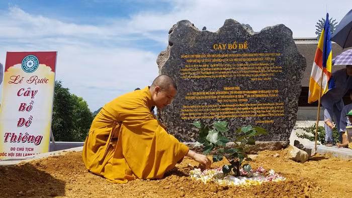 Nhung bau vat it nguoi biet ve ngoi chua lon nhat the gioi o Ha Nam-Hinh-3