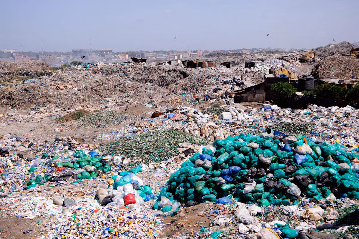 Hai hung cuoc song trong bai rac lon nhat Chau Phi-Hinh-2