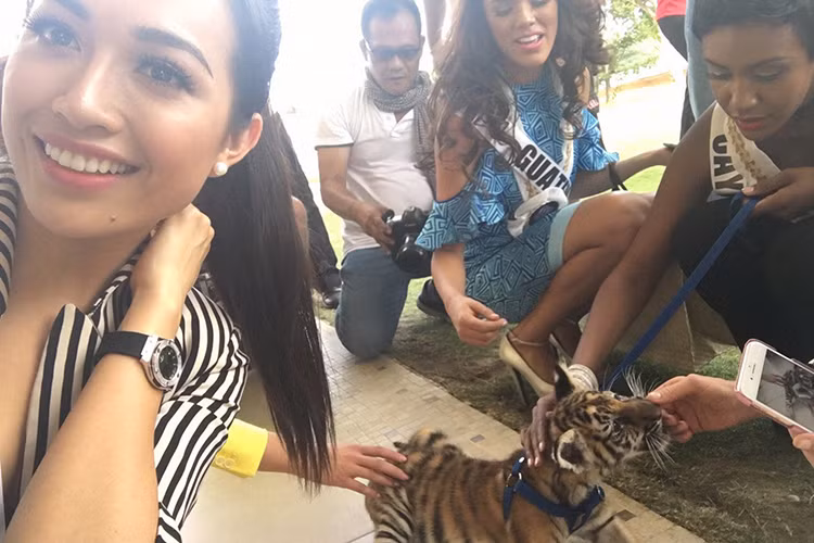 Lệ Hằng khá thích thú với trải nghiệm tại Khu bảo tồn động vật Barluarte, cách trung tâm thành phố 10 phút di chuyển. Cô đã có dịp tiếp xúc trực tiếp và chụp ảnh cùng những chú hổ, chú vẹt, đà điểu đáng yêu.