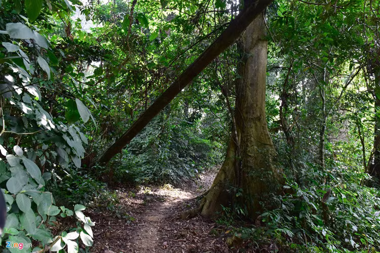 Con đường đến bản đã khó đi nhưng để vào được trang trại gà, đường còn khó hơn gấp nhiều lần với dốc, hủm, cây cổ thụ vắt ngang.