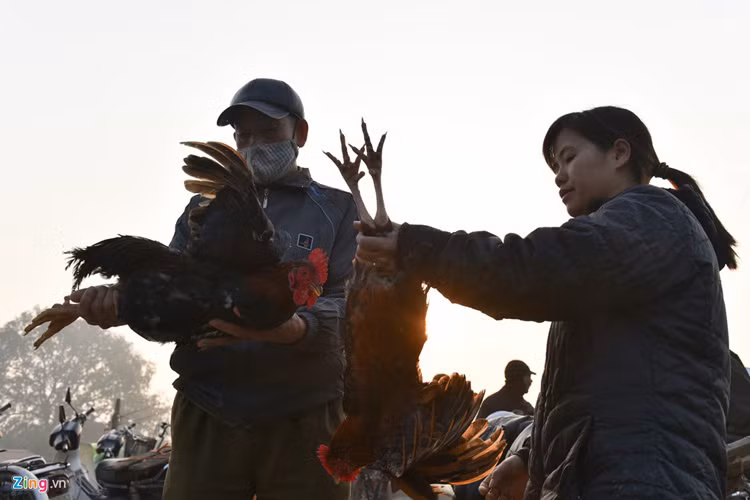 Chợ họp một tháng 12 phiên vào các ngày có số đuôi 2,3,5,7 âm lịch. Và phiên chợ ngày 27 tháng chạp luôn là phiên chợ lớn nhất năm khi những người nông dân mua sắm chuẩn bị Tết Nguyên đán.