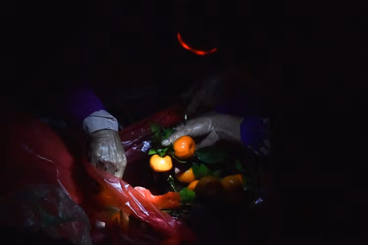 Bởi người bán phải đến sớm để giữ chỗ, còn khách hàng cũng muốn là người đầu tiên để chọn được mặt hàng chất lượng nhất.