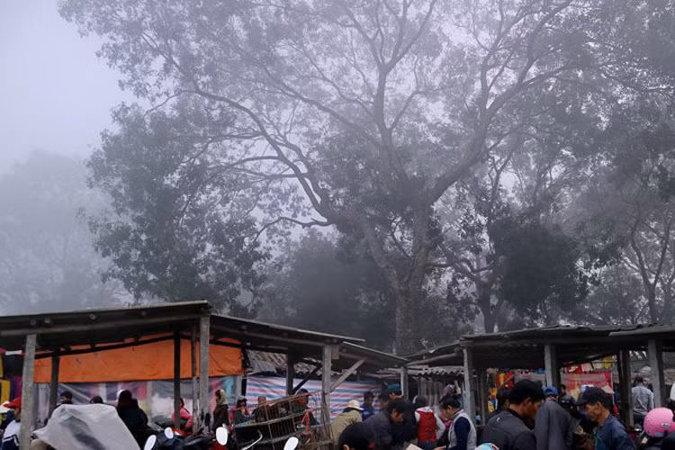 Người dân xã Bình Phú (Thạch Thất, Hà Nội) ngày nay ai cũng biết câu: "Gái 22, trai 27" được lưu truyền từ xa xưa về phiên chợ Nủa. Theo đó, chợ họp vào ngày 22 dành cho phụ nữ, phiên ngày 27 (âm lịch hàng tháng) dành cho đàn ông. Hôm 27 tháng chạp, chợ Nủa họp phiên cuối cùng của năm và cũng là phiên chợ đông nhất cả năm. Đặc biệt phiên chợ cuối năm không chỉ đa phần "quý ông" đi chợ mà các trẻ nhỏ cũng đi chơi đông nhất.