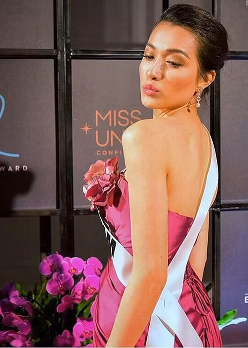 Tối qua (16/1), Á hậu Lệ Hằng đã tham gia tiệc chào mừng của cuộc thi Miss Universe 2016. Xuất hiện tại sự kiện, cô chọn mặc bộ đầm dạ hội cúp ngực tông hồng.