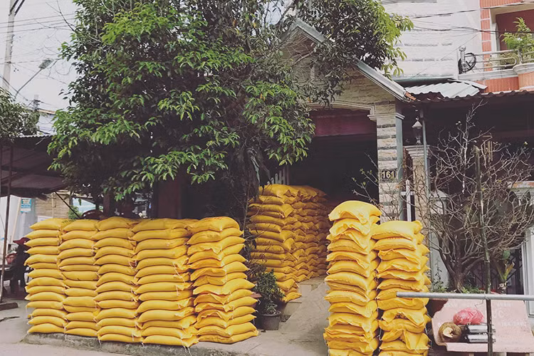 Đây không phải là lần đầu tiên Ngọc Trinh phát gạo làm từ thiện ở quê hương bởi lẽ, vào tháng 3/2015, cũng tại Trà Vinh, người đẹp sinh năm 1989 đã phát 14 tấn gạo. (Ảnh: Facebook nhân vật)