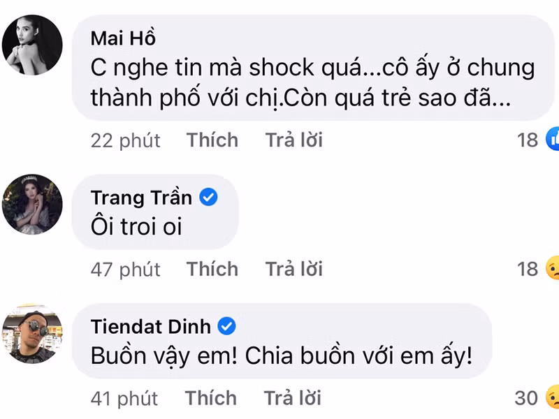 Mai Hồ, Tiến Đạt, Trang Trần cũng bày tỏ sự tiếc thương nữ vlogger gốc Việt ra đi khi tuổi đời còn trẻ. Ảnh: Yan