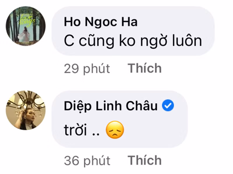 Hồ Ngọc Hà cho biết, cô cũng không ngờ Karma qua đời. Ảnh: Yan