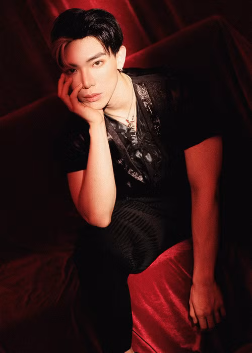 Trong khi đó, Erik từng tham gia cuộc thi Giọng hát Việt nhí 2013. Ở sân chơi này, anh về đội ca sĩ Hiền Thục rồi dừng chân ở vòng đối đầu.