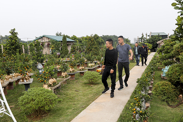 Nhiều gia đình cầu kỳ lo ngại việc gần tết sẽ không chọn được những cây ưng ý, nên đã đặt lịch chọn cây từ sớm, sau đó nhờ nhà vườn chăm sóc đến gần Tết mới đem về chơi.