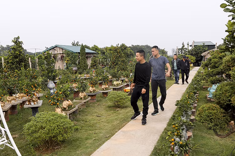 Nhiều gia đình cầu kỳ lo ngại việc gần tết sẽ không chọn được những cây ưng ý, nên đã đặt lịch chọn cây từ sớm, sau đó nhờ nhà vườn chăm sóc đến gần Tết mới đem về chơi.