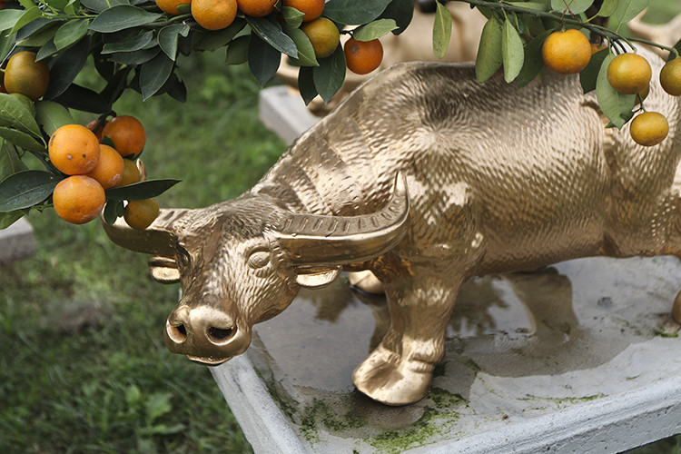 Quất bonsai được đầu tư nhiều công sức vì thế giá cũng đội lên so với quất thông thường. Thời điểm này, việc chăm bón cho cây tươi tốt để quả chín vào đúng dịp Tết càng đòi hỏi sự cẩn thận, tỉ mỉ.