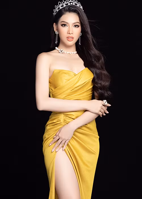 Ngay khi từ đoạt danh hiệu á hậu, Ngọc Thảo được nhiều người ủng hộ tham gia đấu trường Miss Grand International.