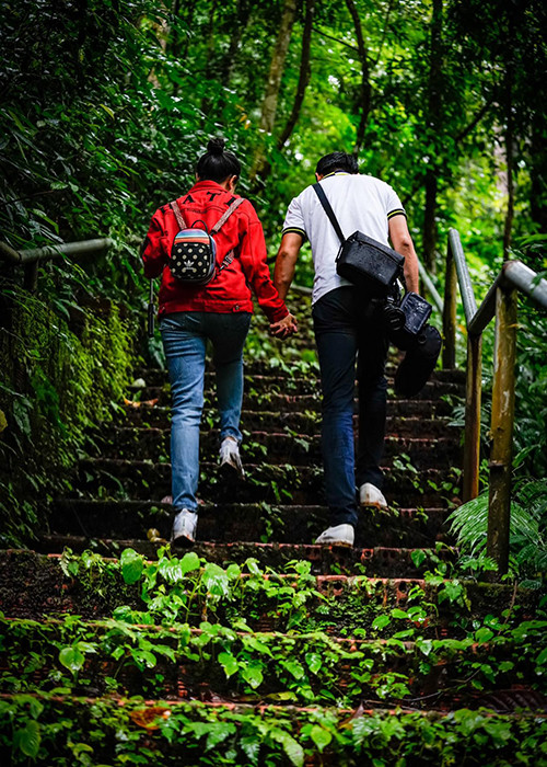 Hình ảnh cặp đôi nắm tay nhau trong một chuyến du lịch.