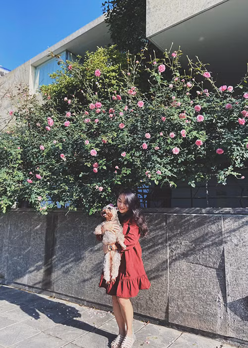 Thiện Thanh đã tốt nghiệp Học viện Âm nhạc Quốc gia Việt Nam nhưng không "tấn công" làng nhạc.