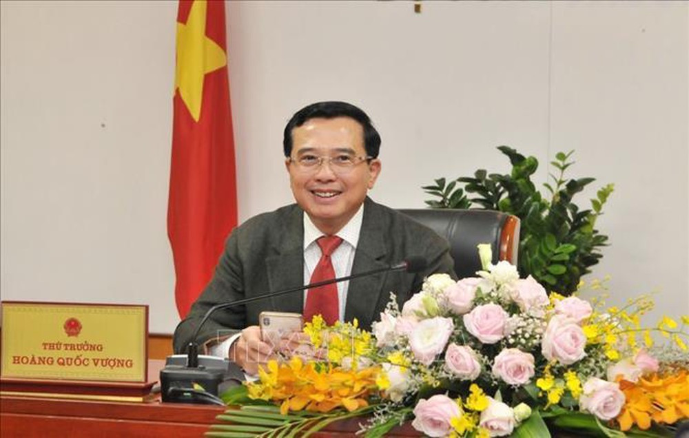 Trong thời kỳ đảm nhiệm vị trí thứ trưởng Bộ Công Thương từ 2015 đến 2020, ông Vượng được giao chỉ đạo công tác trong lĩnh vực điện lực, năng lượng tái tạo, môi trường và phát triển bền vững, an toàn, công nghệ thông tin, phát triển thị trường... Trong những ngày cuối cùng công tác, ông Vượng liên tục nhận tin không vui khi ngành năng lượng, nhất là điện lực thuộc lĩnh vực ông quản lý khi làm thứ trưởng lộ ra nhiều sai phạm. Bản thân ông cũng có trách nhiệm liên quan và được xác định vi phạm đến mức phải kỷ luật.