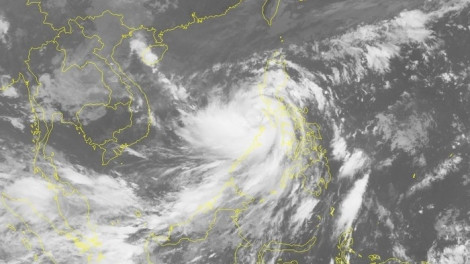 Dự báo trong 24 giờ tới, bão di chuyển theo hướng Tây Tây Bắc, mỗi giờ đi được 20-25km, đi vào đất liền từ Đà Nẵng đến Phú Yên. Đến 10 giờ ngày 28/10, vị trí tâm bão ở 14,8 độ Vĩ Bắc; 108,8 độ Kinh Đông, ngay trên đất liền từ Quảng Nam đến Bình Định. Sức gió mạnh nhất vùng gần tâm bão mạnh cấp 11-12 (100-115km/giờ), giật cấp 15.