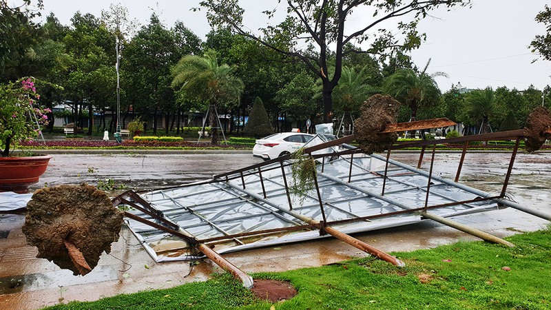 Gió lớn khiến hàng loạt biển hiệu, biển quảng cáo, pano bị xô ngã ở khu vực trước trung tâm hội nghị tỉnh Bình Định. Ảnh: Pháp luật TP HCM.
