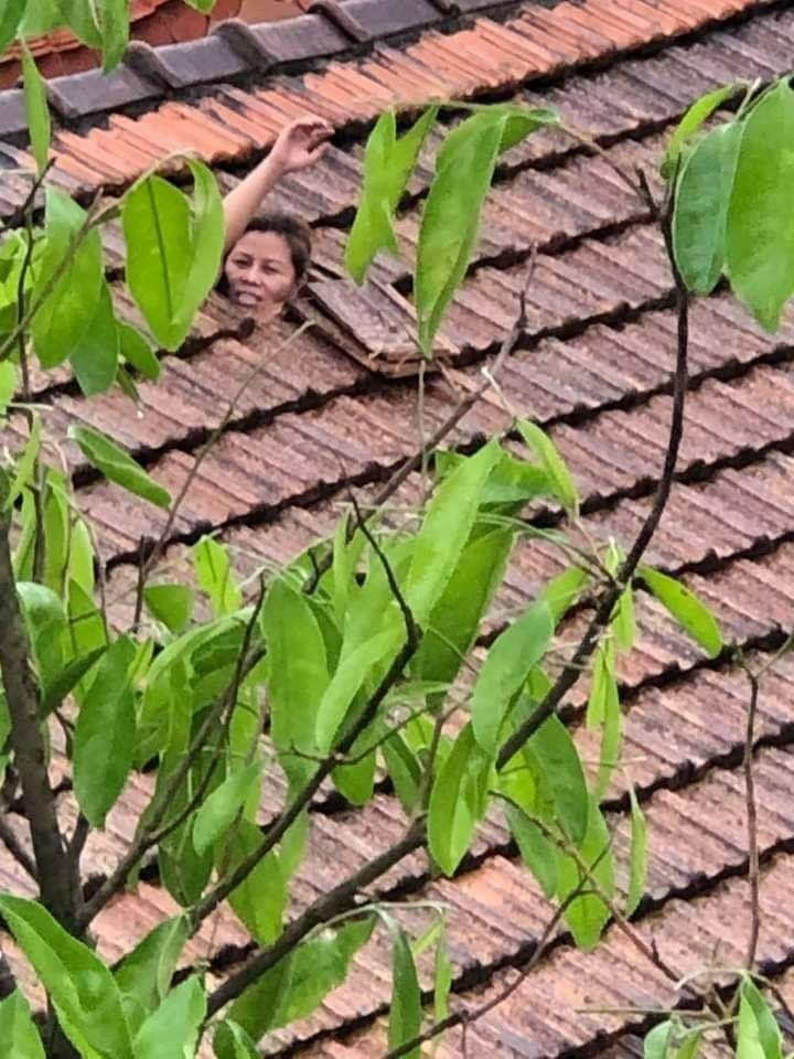 Từng hình ảnh, từng đoạn clip khiến người dân cả nước quặn lòng, xót xa.